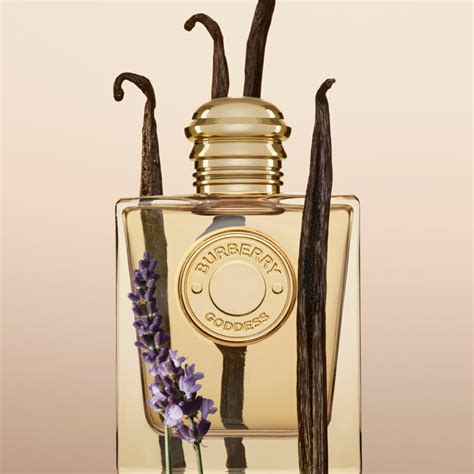 burberry perfumy|emma mackey burberry goddess.